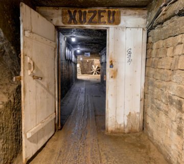 04. Muzeul Sarii din Bucovina Judetul Suceva Muzee de la sat Teoderascu 02475 MuzeeDeLaSat