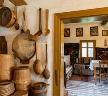 Casa muzeu George Muntean Bilca Judetul Suceava Muzee de la sat MuzeeDeLaSat