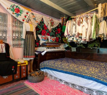 Coltisorul meu de altadata Judetul Vaslui Muzee de la sat Teoderascu 8 MuzeeDeLaSat