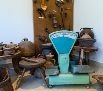 Complexul Muzeal Paul Taralunga din Prajesti Judetul Bacau Muzee de la sat Teoderascu 7 MuzeeDeLaSat