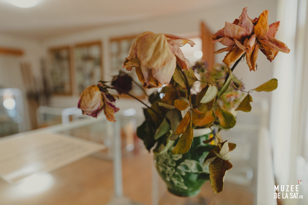 Casa Memorială „Vasile Voiculescu”, județul Buzău Casa Memorială „Vasile Voiculescu”, județul Buzău