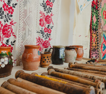 _Ionut Teoderascu_Muzee de la sat__007