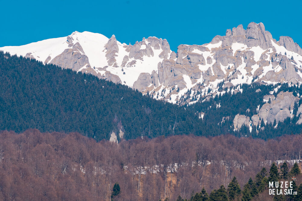 Muzeul de antropologie „Francisc Rainer”, județul Prahova