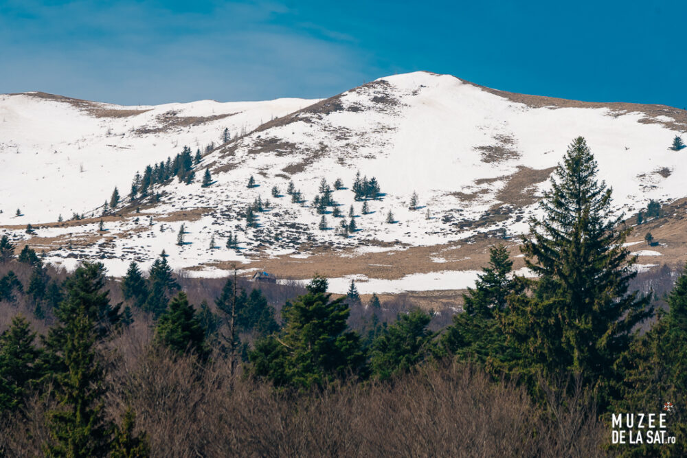 Muzeul de antropologie „Francisc Rainer”, județul Prahova