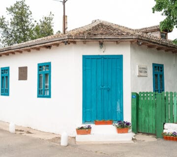 01 Muzee de la sat Casa Memoriala Panait Cerna Tulcea Photo by Ionut Teoderascu wwwmuzeedelasatro 230513 MuzeeDeLaSat