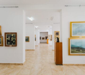 02 Muzee de la sat Muzeul de Arta Dinu si Sevastia Vintila Topalu Constanta Photo by Ionut Teoderascu www.muzeedelasat.ro 230518 MuzeeDeLaSat