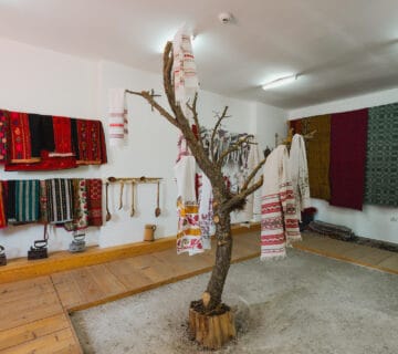 01 Muzeul Timpul Omului Buzau Fotograf Ionut Teoderascu muzeedelasat.ro 230520 MuzeeDeLaSat