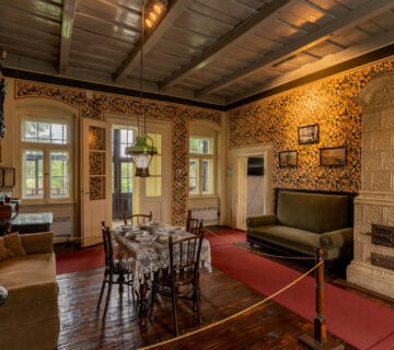 01 Complexul Memorial Ady Endre Satu Mare Muzee de la sat Fotograf Ionut Teoderascu 240522 MuzeeDeLaSat