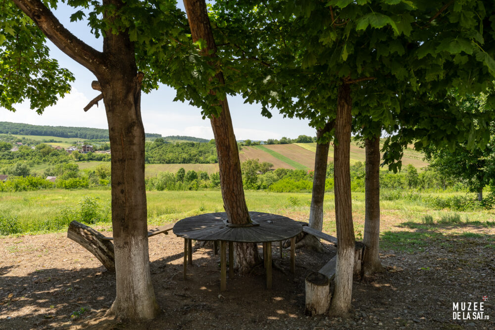 Casa Memoriala George Pop de Basesti_Maramures_Muzee de la sat Casa Memorială George Pop de Băsești din Maramureș. Muzee de la sat