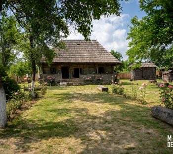 Casa muzeu „Constantin Brâncuși” -3