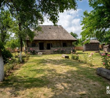 Casa muzeu „Constantin Brâncuși” -3