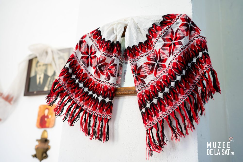 Muzeul „Gheorghe Ionescu-Șișești”-10 Muzeul „Gheorghe Ionescu-Șișești”-10