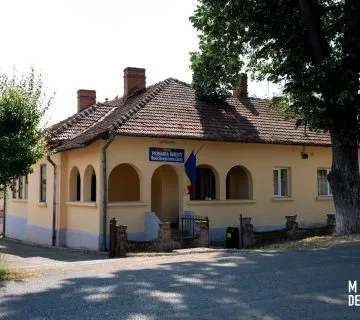 Muzeul „Gheorghe Ionescu Sisesti 16 MuzeeDeLaSat