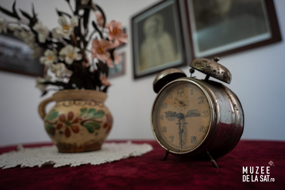 Muzeul „Gheorghe Ionescu-Șișești”-9 Muzeul „Gheorghe Ionescu-Șișești”-9