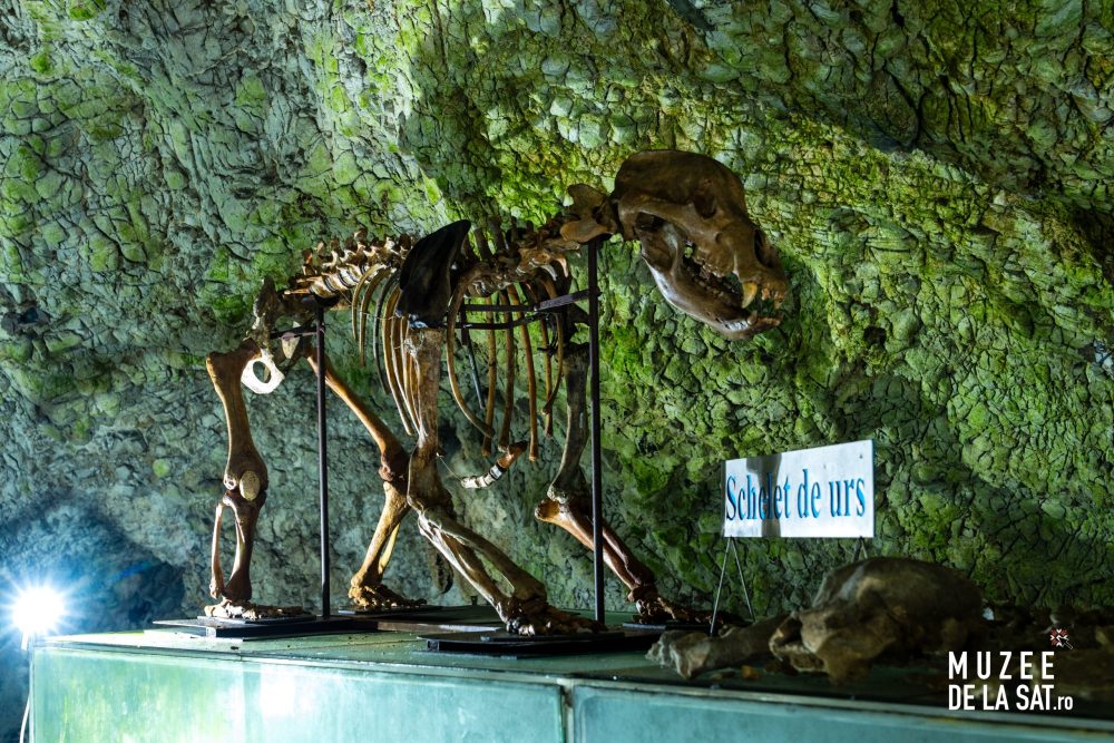 Peștera Muierilor-10