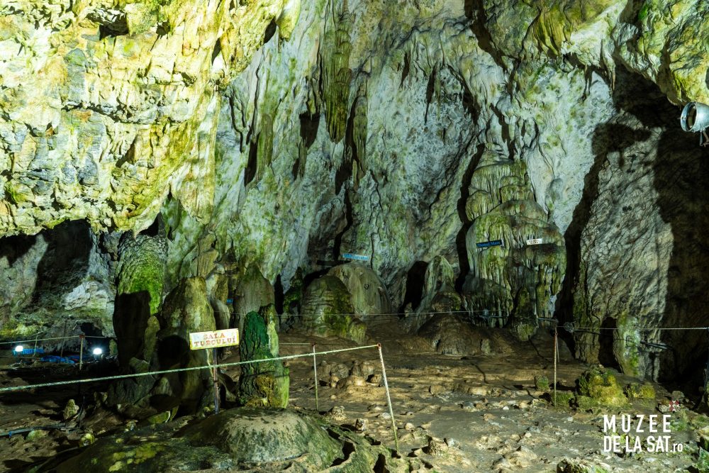 Peștera Muierilor-12