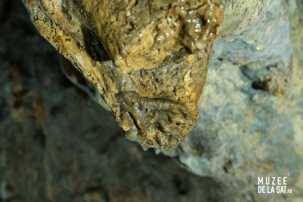 Peștera Muierilor-15