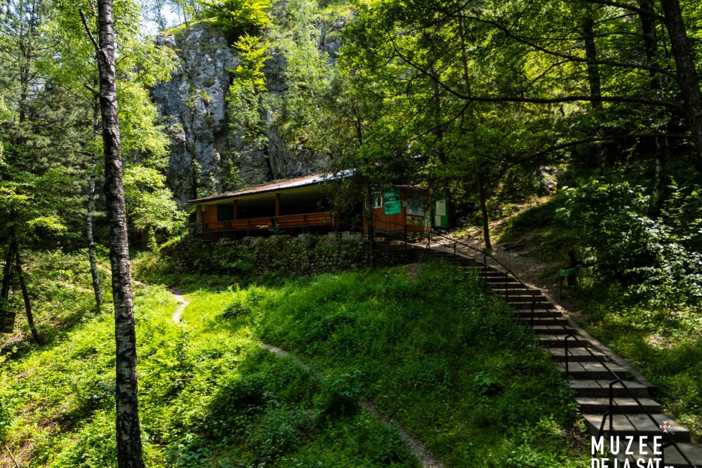 Peștera Muierilor-19