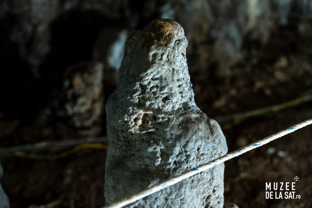 Peștera Muierilor-3