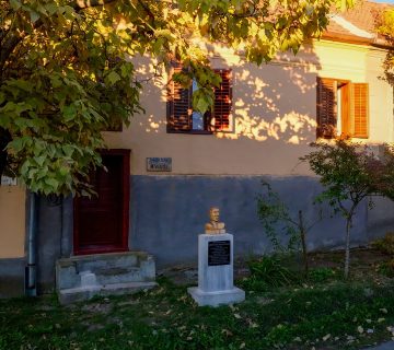 Casa Memorială Muzeu Novacovici