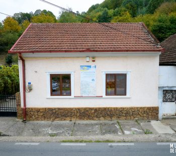 Colecția de Mineralogie Estetică a Fierului „Constantin Gruescu” din Ocna de Fier