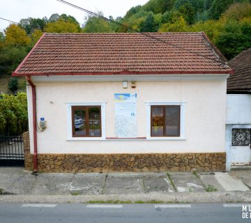 Colecția de Mineralogie Estetică a Fierului „Constantin Gruescu” din Ocna de Fier