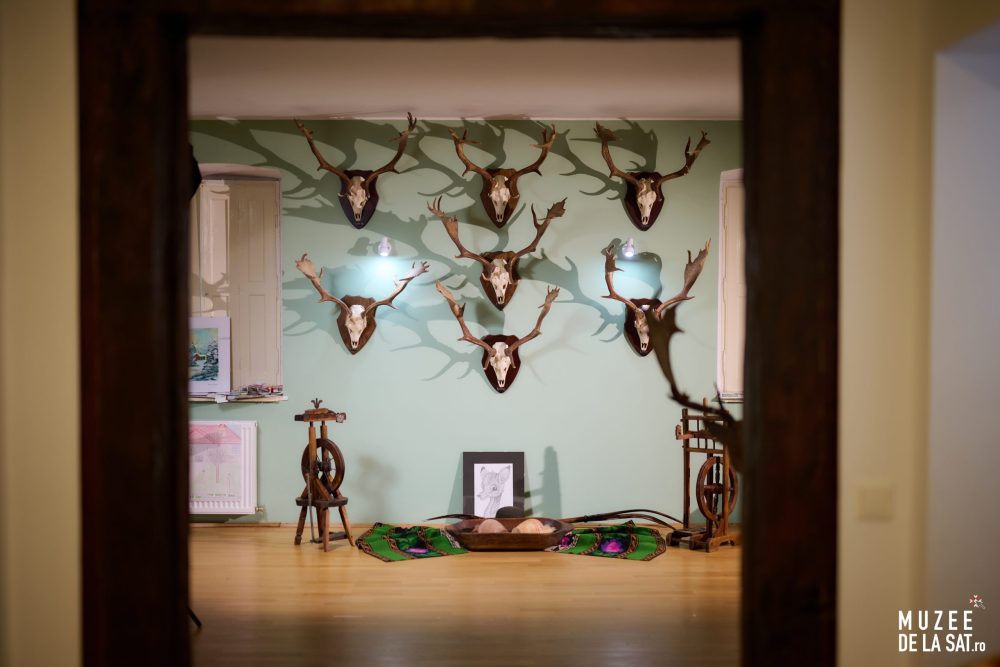 03-Muzee-de-la-sat-Muzeul-Cinegetic-și-Silvic-Charlottenburg