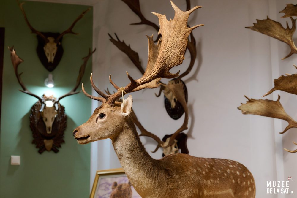 05-Muzee-de-la-sat-Muzeul-Cinegetic-și-Silvic-Charlottenburg