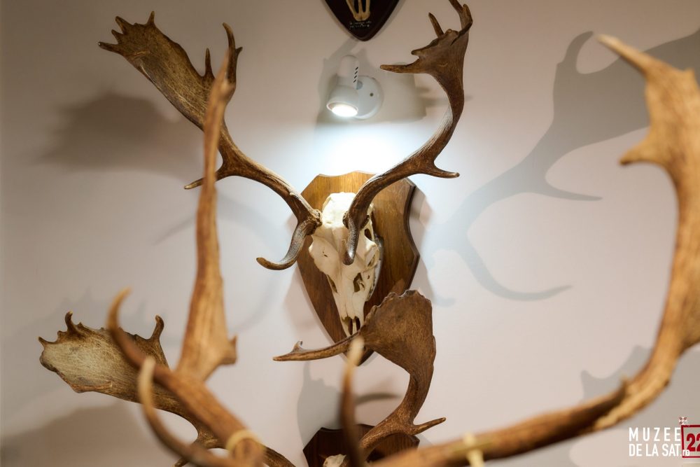 07-Muzee-de-la-sat-Muzeul-Cinegetic-și-Silvic-Charlottenburg