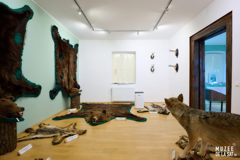 20-Muzee-de-la-sat-Muzeul-Cinegetic-și-Silvic-Charlottenburg