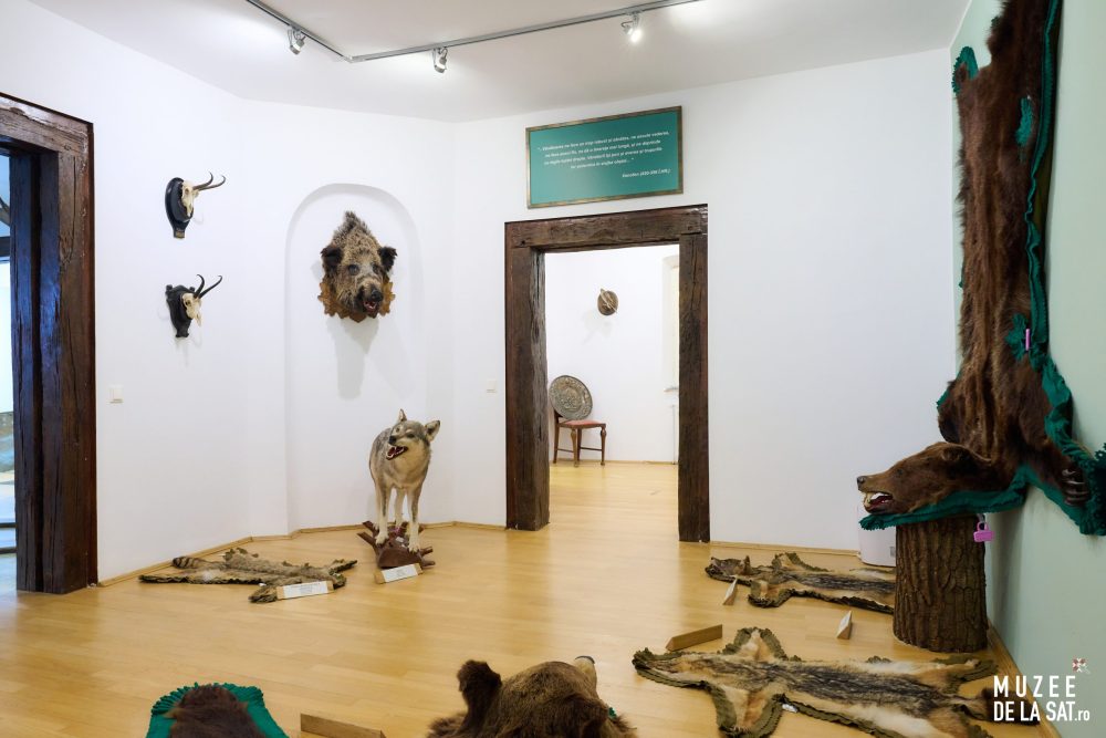 22-Muzee-de-la-sat-Muzeul-Cinegetic-și-Silvic-Charlottenburg